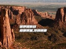 世界摄影日|尼康所至,万物成像