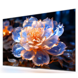 华为Vision智慧屏5 SE优享版65英寸