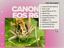 Flickr¹«²¼2025Äê¶ÈÏà»úʹÓÃÅÅÐаñ