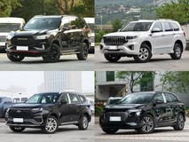 30万内7座SUV精选:D90 Pro、哈弗H9、领裕与Q5 e-tron深度对比