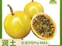 胡鲜森钦蜜9号黄金百香果