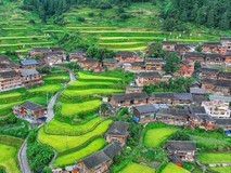 中国三星再登外企社责榜首,CSR新三年战略收官