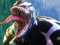 索尼官宣毒液全新动画电影,扎克·利波夫斯基与亚当·B·斯坦联合执导