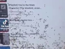 台式显示器惊现密集小虫引热议,专家解析成因与防治