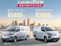五菱扬光冠军版正式上市,续航310公里,售价8.38万起