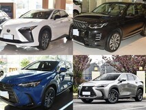 五座中型SUV新选择:雷克萨斯与路虎实力推荐