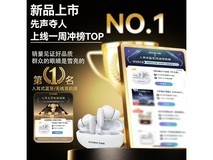 DOUBLE TUNE鹅卵石蓝牙耳机限时特惠46.75元