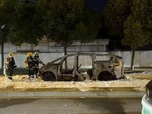 理想MEGA深夜自燃 车主辟谣虚假信息