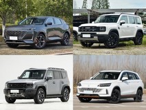 30万内插电混动SUV推荐:四款实力车型纵享通勤与远方