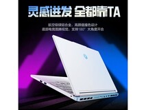 机械革命极光X潮玩版游戏本