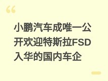 小鹏汽车成唯一公开欢迎特斯拉FSD入华的国内车企