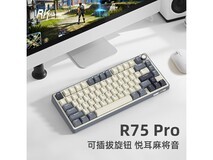 ROYAL KLUDGE RK R75Pro机械键盘164元抢