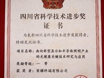 荣耀终端获评四川省科技进步奖一等奖