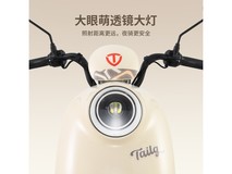 台铃丛林棕电动摩托钜惠