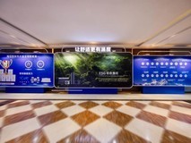 以AI重构全屋热水生态!海尔发布多能源方案舒适更节能