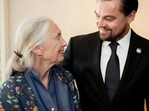 珍·古道尔:地球守护者的精神永存