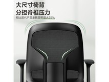 得力DL4900S人体工学椅限时特惠174元