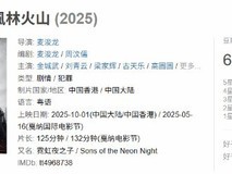 风林火山豆瓣开分6.5:视觉惊艳遭评形式大于内容