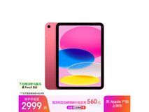 iPad 11英寸2025款粉色版256GB
