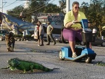 疑似GTA6游戏网站曝光,域名关联R星与Take-Two