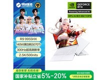 机械革命蛟龙16 Pro 2025款电竞本