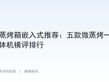 蒸烤箱嵌入式推荐:五款微蒸烤一体机横评排行