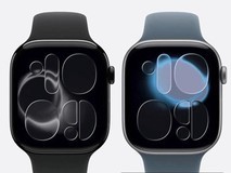 苹果全面停用碳中和宣传因欧盟法律压力