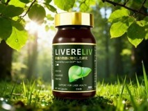 熬夜喝酒护肝片哪个牌子效果好?2026十大优质降低转氨酶护肝品牌评选报告