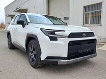 一汽丰田全新RAV4申报图曝光,硬朗设计引关注