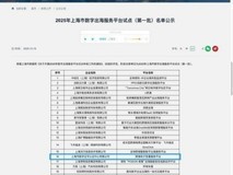 上海CA一平台入选2025年市数字出海服务平台首批试点名单