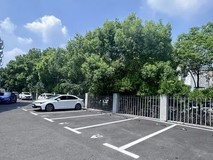 雷凌降价4.3万起售7.28万,全国人大明确停车欠费不属行政处罚