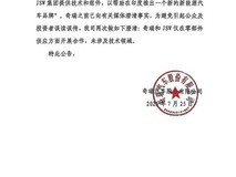 奇瑞回应与印度JSW合作传闻