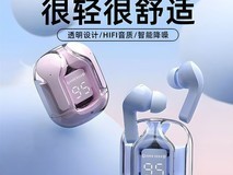 雷睿邦2026蓝牙耳机直降200,仅21.9元