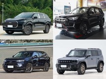 20ÍòÄÚÕæ7×ùSUVÔõôѡ£¿ËÄ¿îʵÁ¦³µÐÍÈ«½âÎö