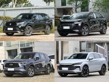 40ÍòÄÚ7×ùSUVÔõôѡ£¿5¿îʵÁ¦³µÐͺáÆÀ£¬Âú×ãÈ«¼Ò³öÐÐÐèÇó