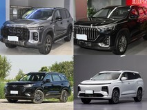 20ÍòÄÚ7×ùSUVÔõôѡ£¿ËÄ¿îʵÁ¦³µÐÍÉî¶È½âÎö£¬×°µÃϼÒÒ²×°µÃÏÂÔ¶·½