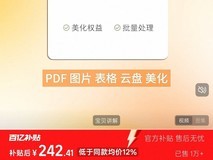 WPS超级会员4年242元