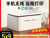 奔图BP2345W打印机489元