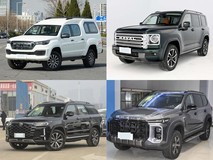 20万内汽油中大型SUV四款优选,谁更值得入手?