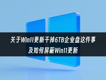 我的6TB企业硬盘被Win11爆了 教大家如何屏蔽Windows更新