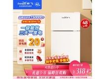 新飞48L一级能效小冰箱