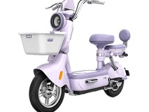 台铃新欣动电动车限时2899