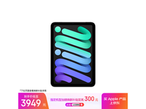 Apple iPad mini 7 2024款到手仅3449元