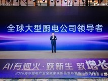 海尔大厨电2025年逆势增长领跑行业