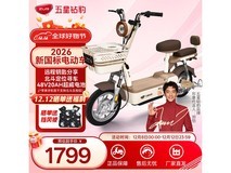 京东五星钻豹A39电动车直降300元