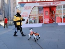 机器狗互动、机器人陪下棋 京东家电家居暖心站台落地大连