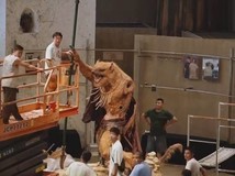 黑神话:悟空实体店周年焕新,以风起黄昏为主题升级展陈