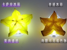 冰箱保鲜“鹰眼”挑战:中网合作伙伴卡萨帝唯一营养留存率超99%