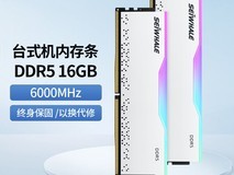 枭鲸审判者DDR5内存条32GB RGB灯效6000MHz