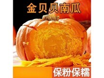 5斤红皮金贝贝小南瓜仅11.99元,产地直发超实惠